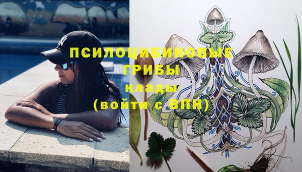 бошки Заволжье