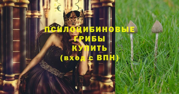 spice Заводоуковск