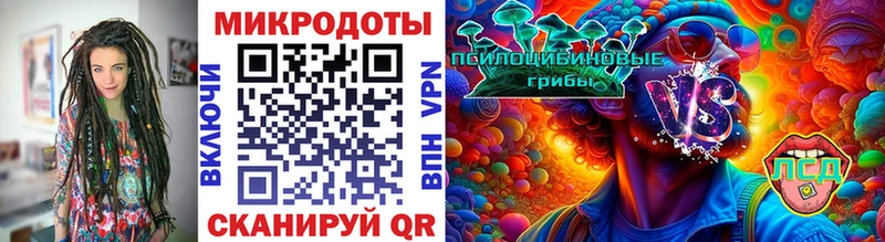 сколько стоит  Сасово  Галлюциногенные грибы Cubensis 